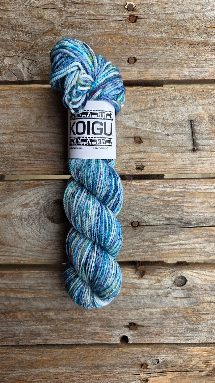 Single Variegated Skeins - Jasmine DK Merino - SALE