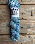 Single Variegated Skeins - Jasmine DK Merino - SALE