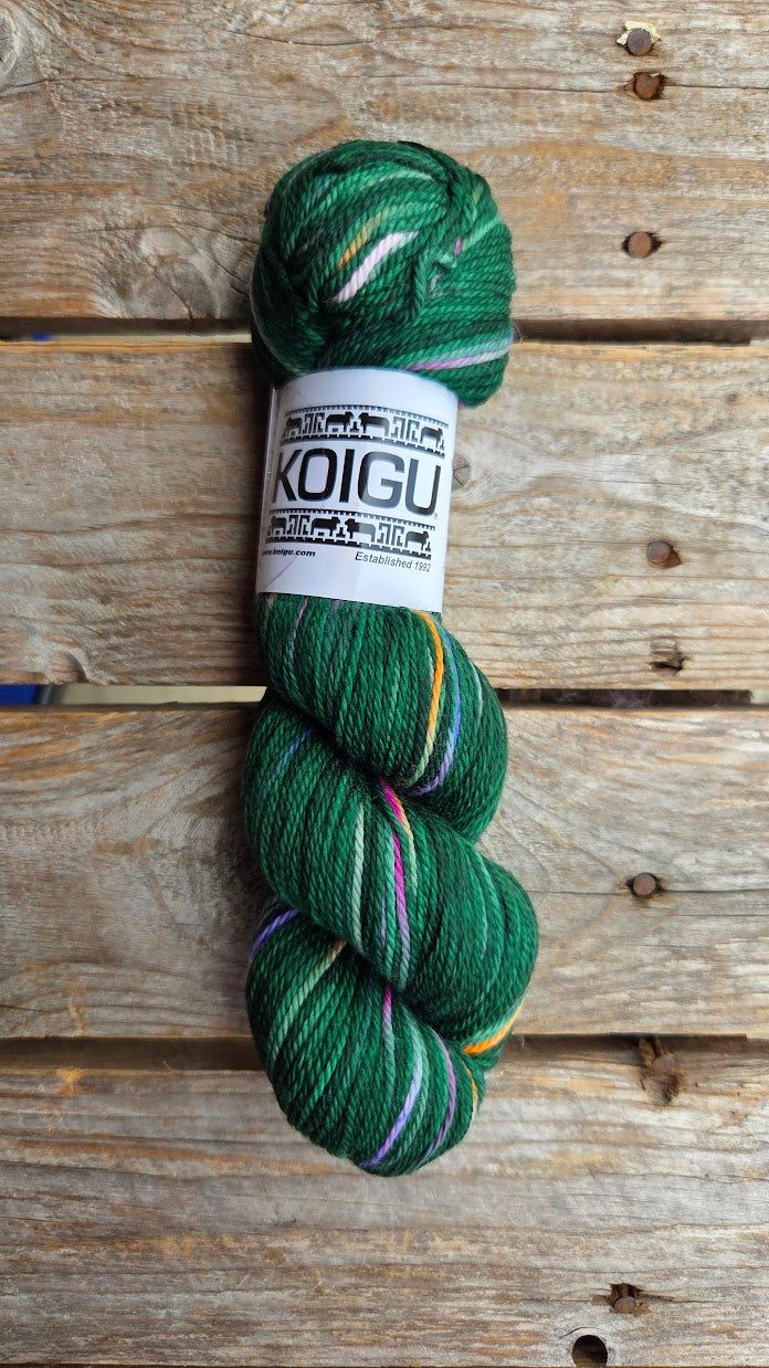Single Variegated Skeins - Jasmine DK Merino - SALE
