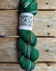 Single Variegated Skeins - Jasmine DK Merino - SALE