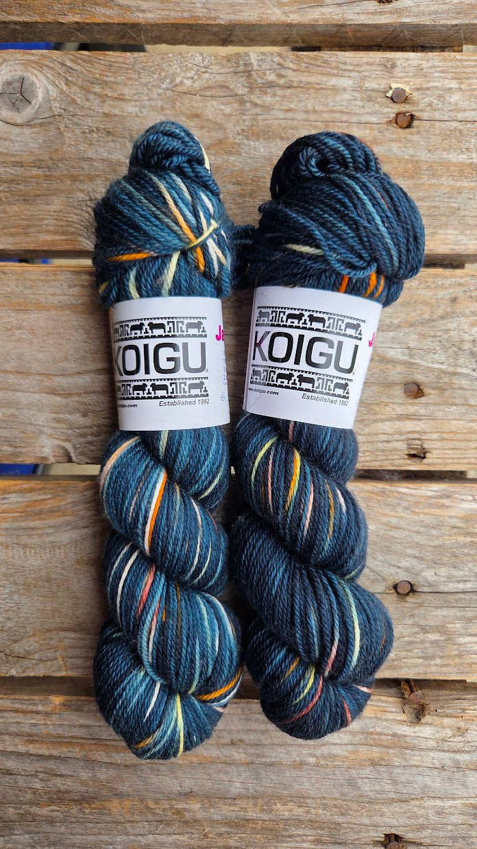 Single Variegated Skeins - Jasmine DK Merino - SALE