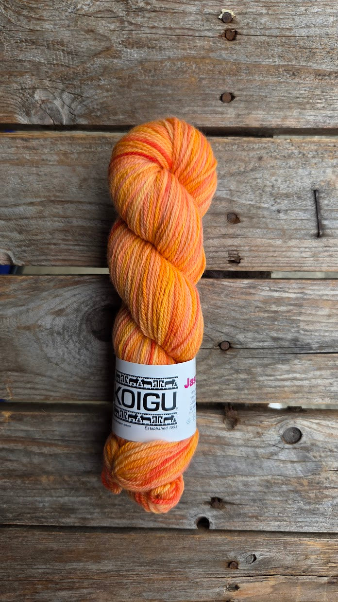 Single Variegated Skeins - Jasmine DK Merino - SALE