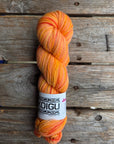 Single Variegated Skeins - Jasmine DK Merino - SALE