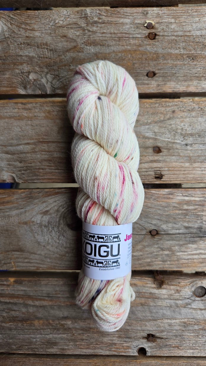 Single Variegated Skeins - Jasmine DK Merino - SALE