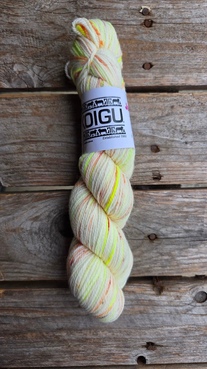 Single Variegated Skeins - Jasmine DK Merino - SALE