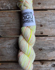 Single Variegated Skeins - Jasmine DK Merino - SALE