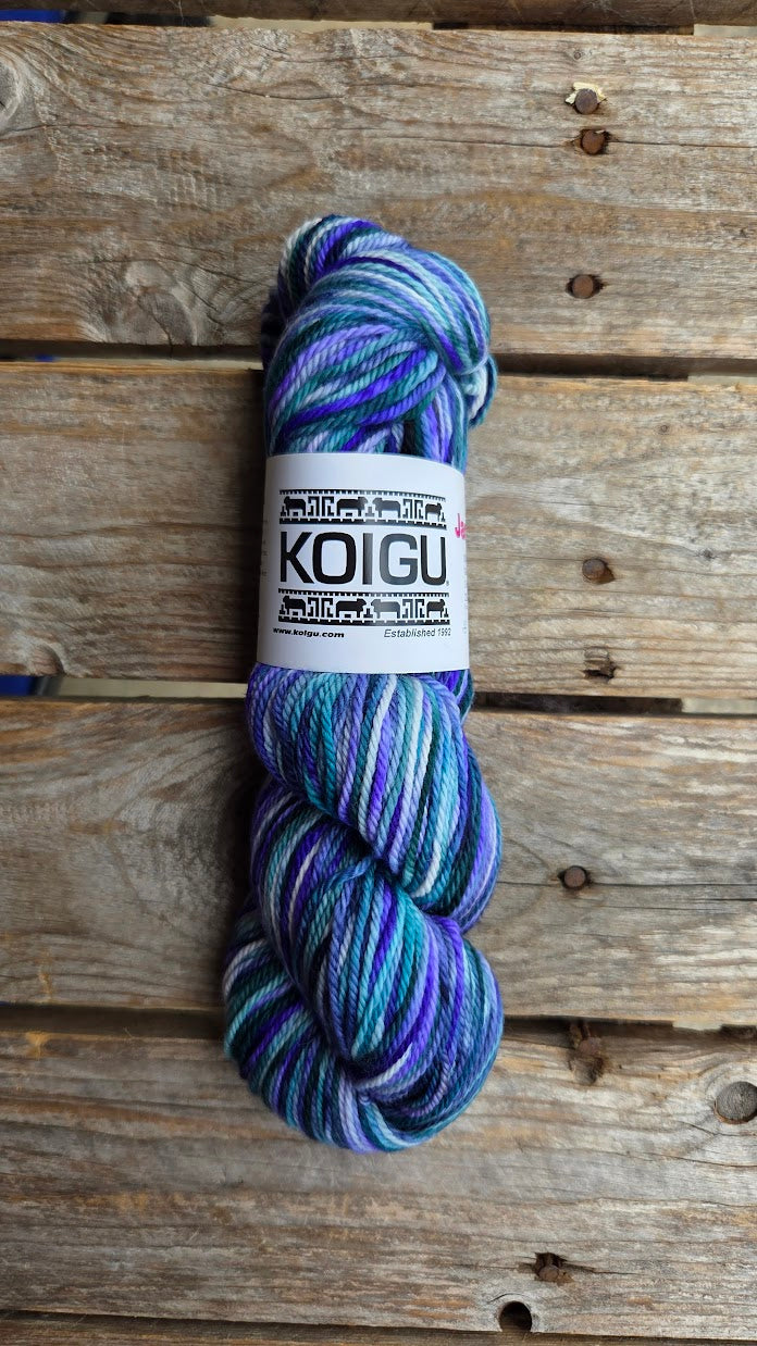 Single Variegated Skeins - Jasmine DK Merino - SALE
