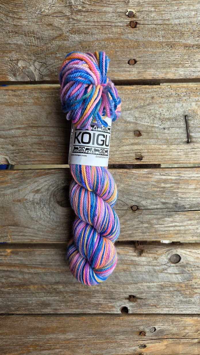 Single Variegated Skeins - Jasmine DK Merino - SALE