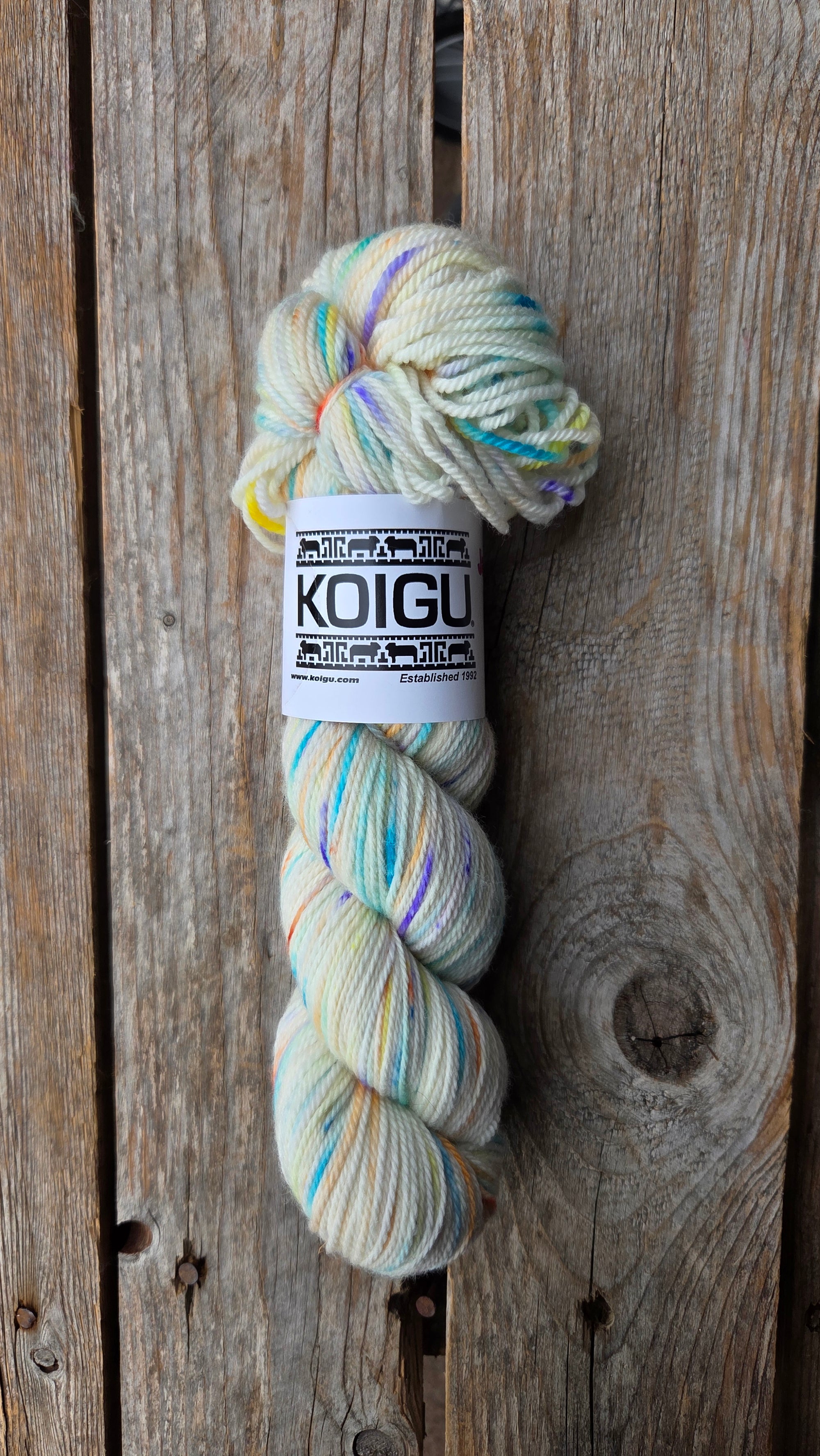 Single Variegated Skeins - Jasmine DK Merino - SALE