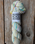 Single Variegated Skeins - Jasmine DK Merino - SALE