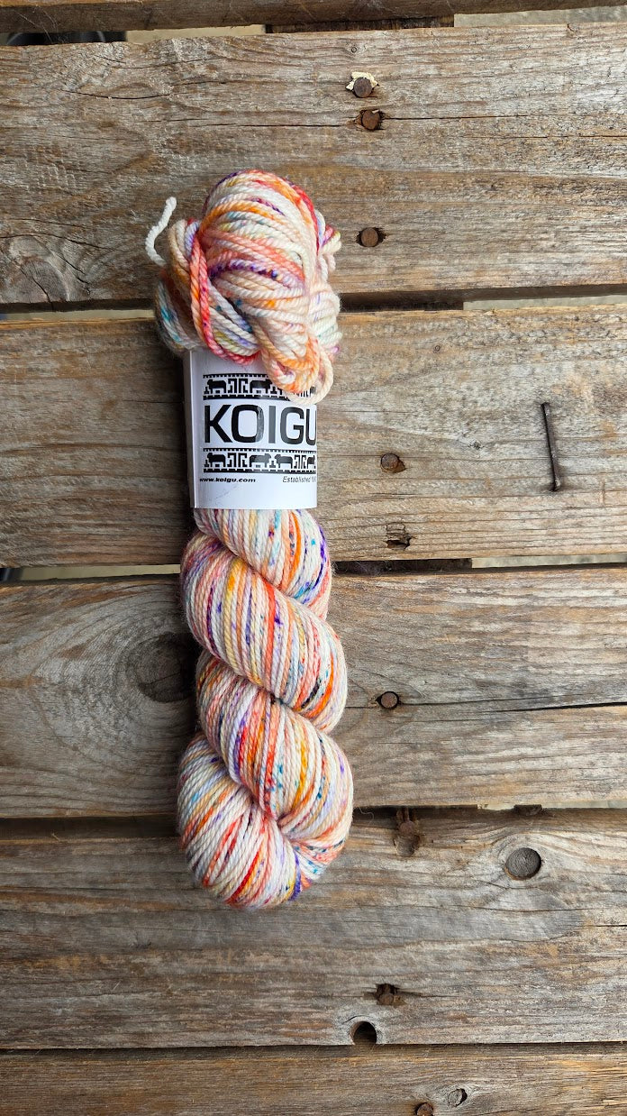 Single Variegated Skeins - Jasmine DK Merino - SALE