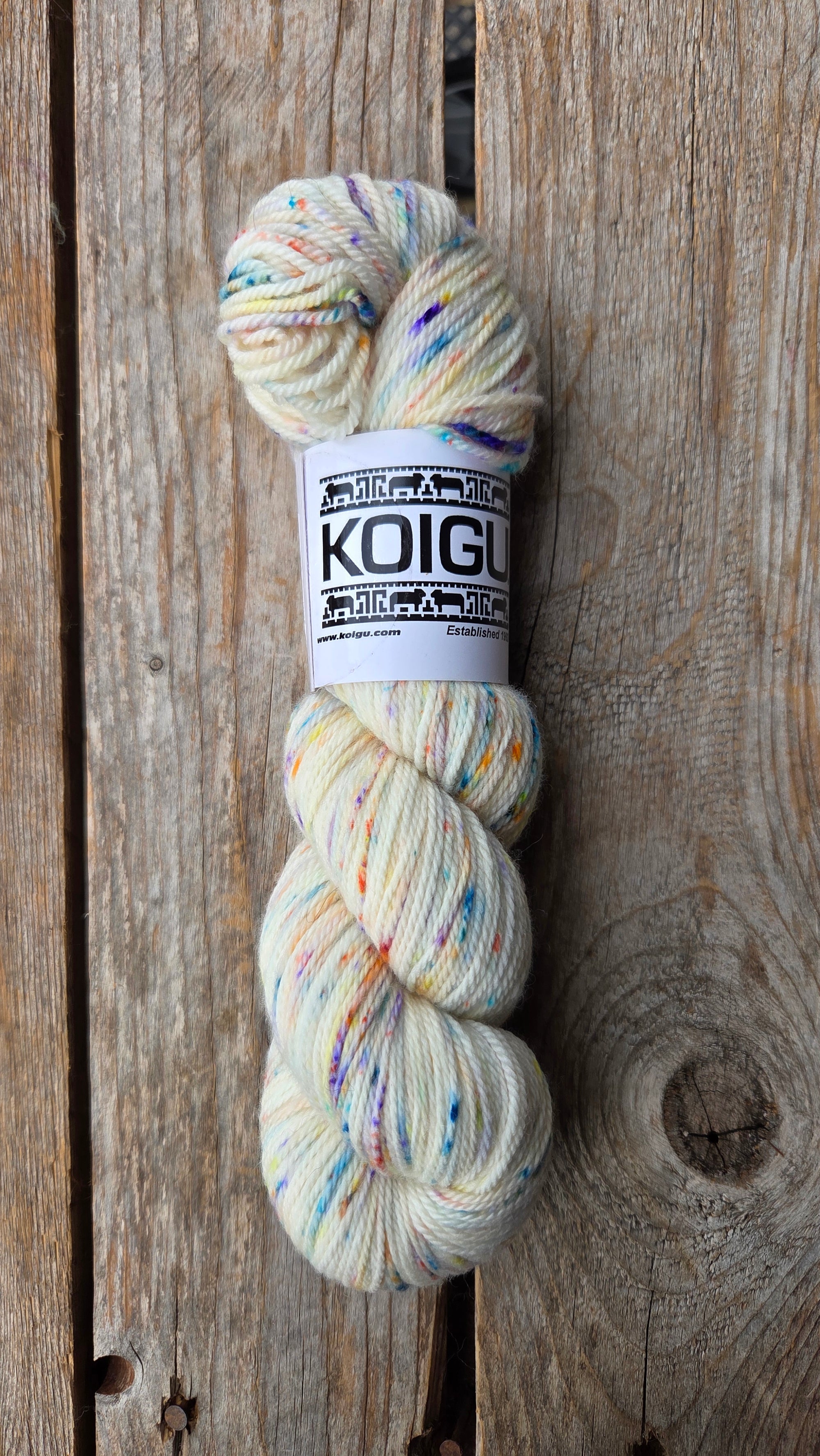 Single Variegated Skeins - Jasmine DK Merino - SALE