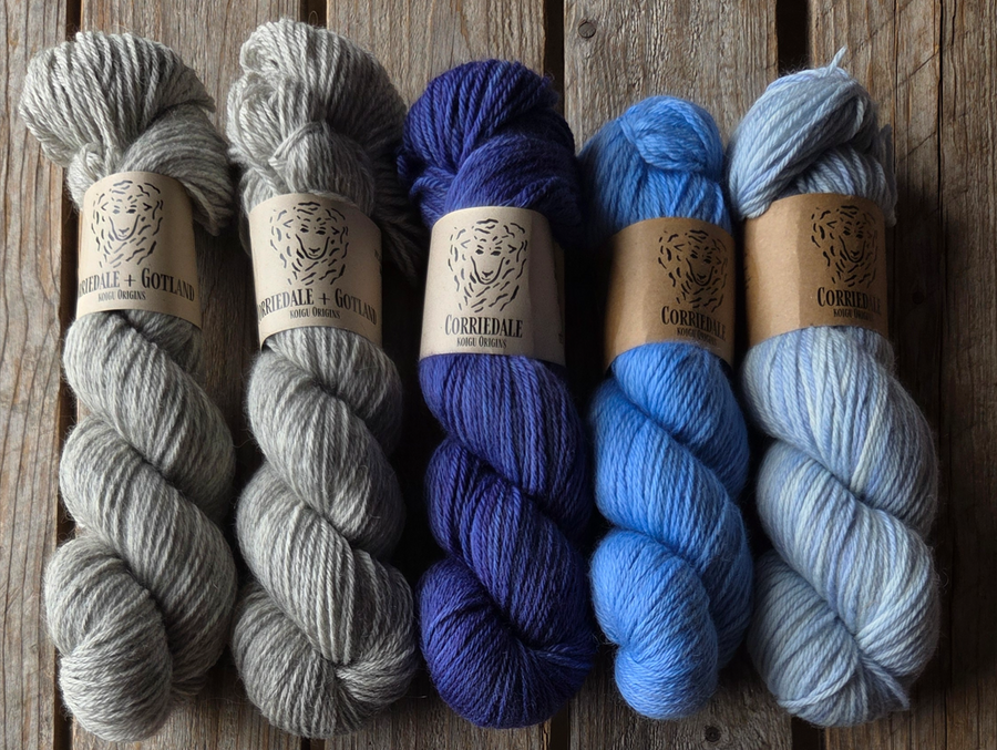 Rahvuslik Cardigan Kit -'Kindred Knits' by Aleks Byrd