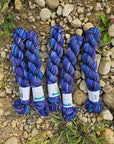 Koigu Collector Originals / skein