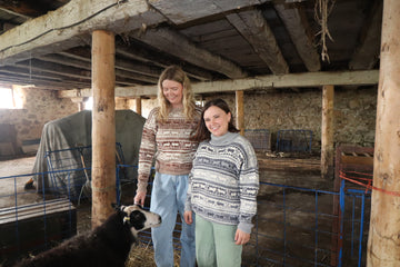 Koigu Sheep - Heritage Sweater Collection (PDF Pattern)