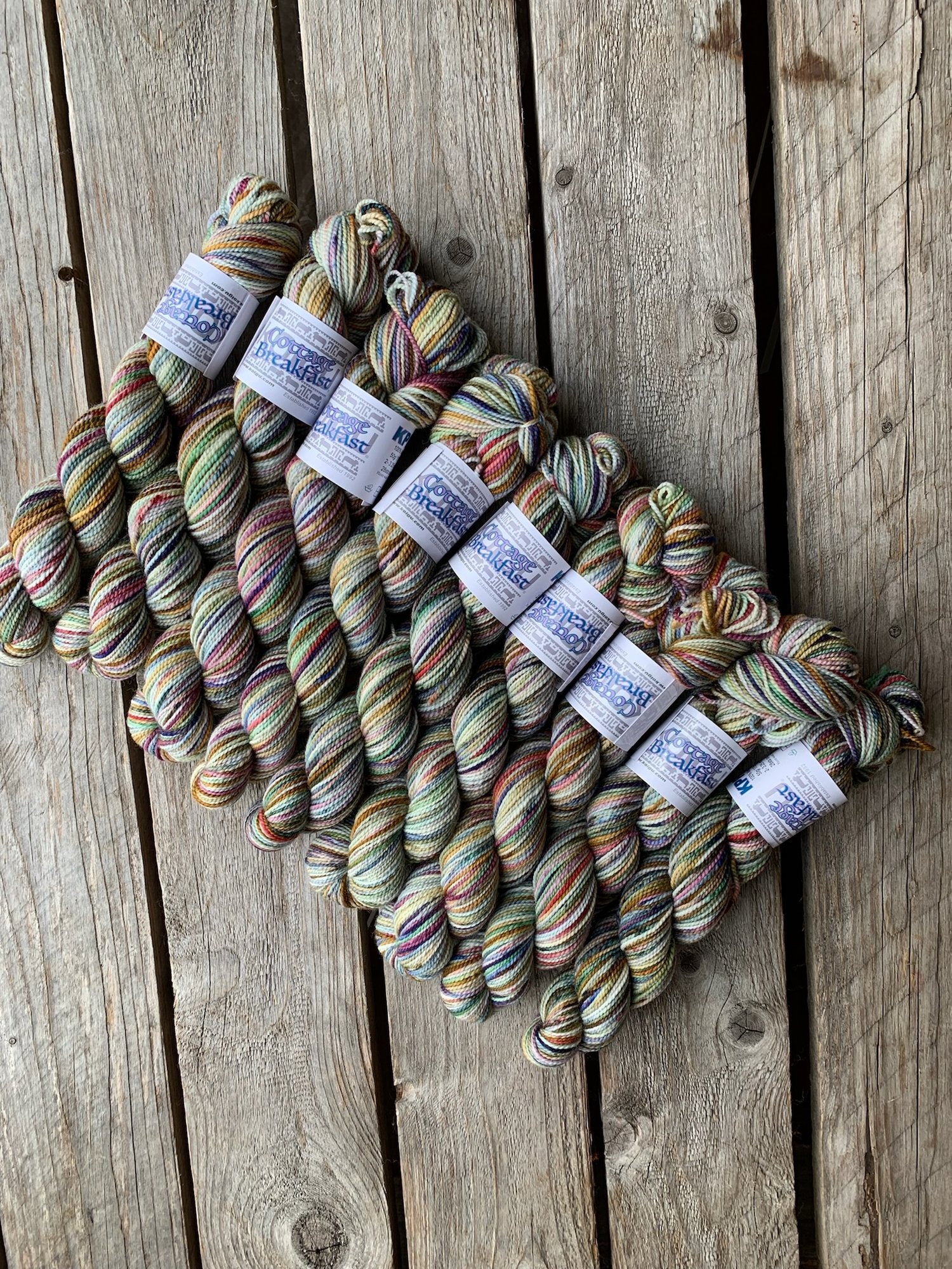 Koigu Collector Originals / skein