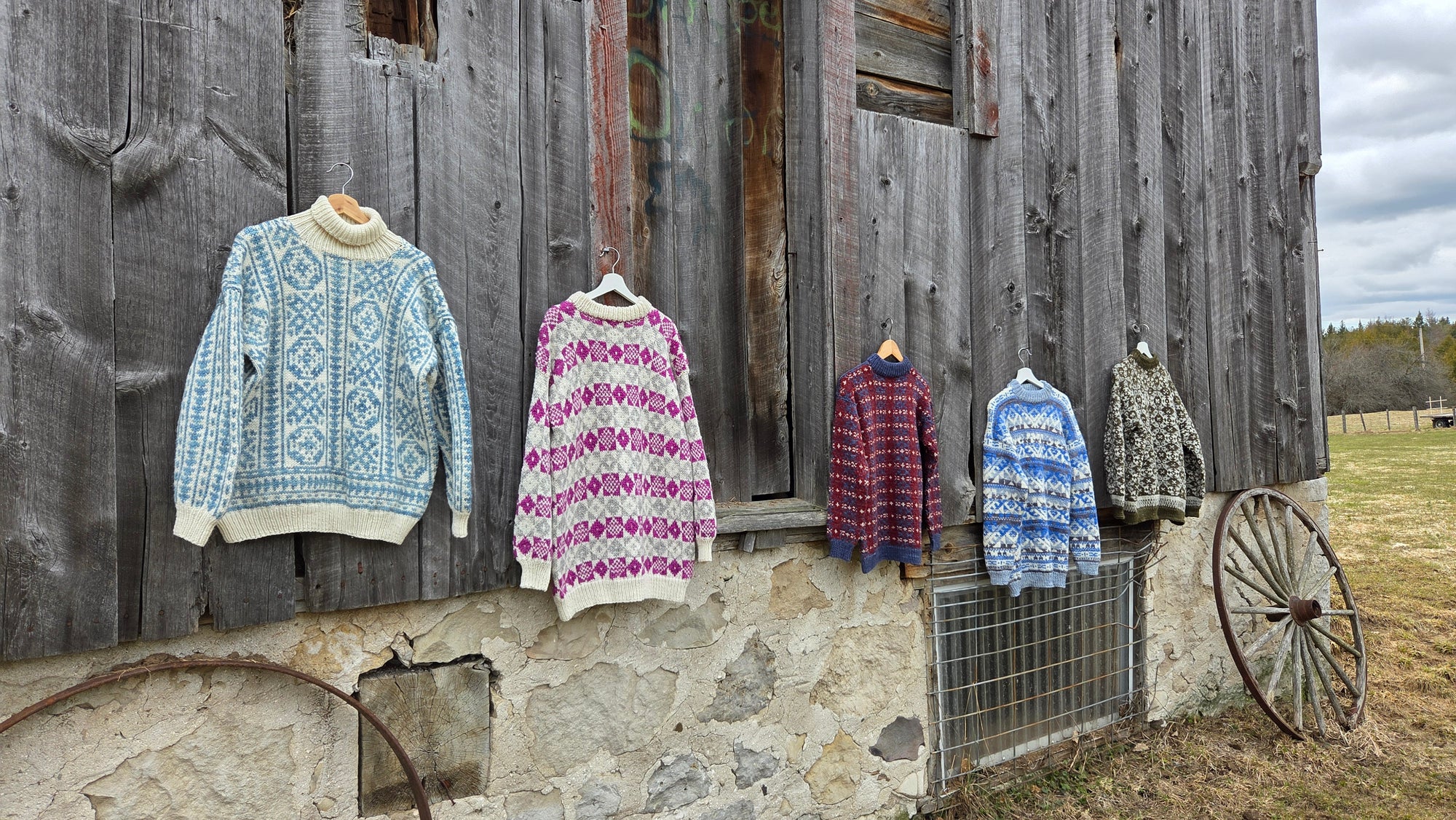 Koigu Sheep Sweater Kit