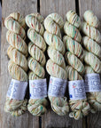 Koigu Collector Originals / skein