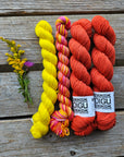 Lilleke Sock Kit