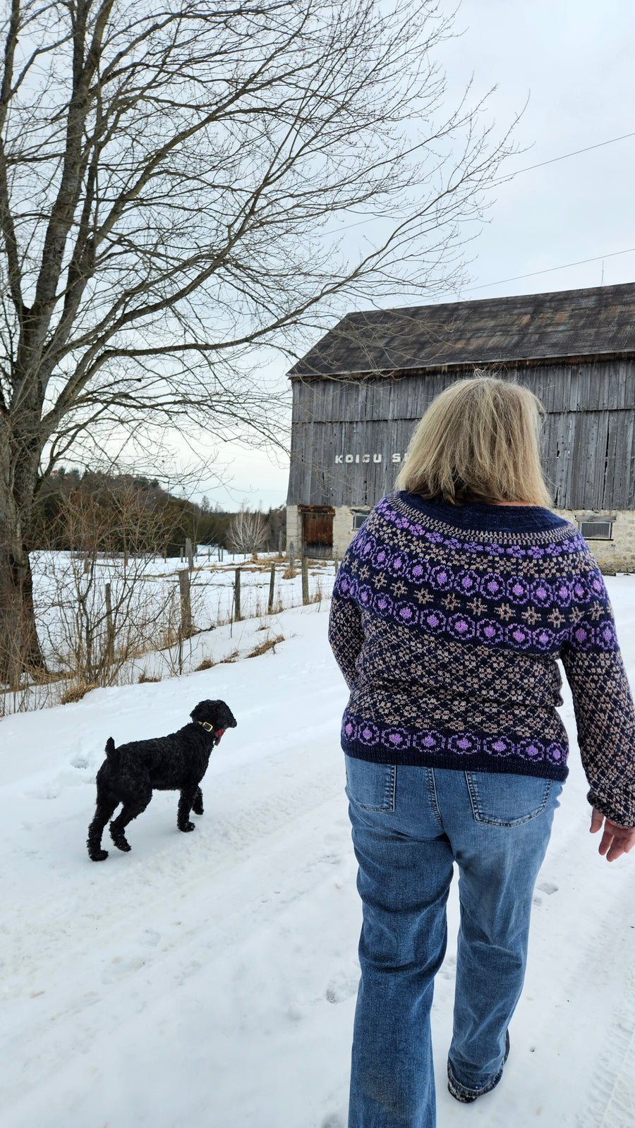 Rosecroft Sweater Kit - Florence Spurling