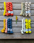 Lilleke Sock Kit