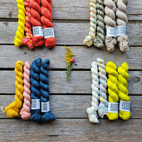 Lilleke Sock Kit