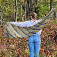 Suvihari Shawl Kit