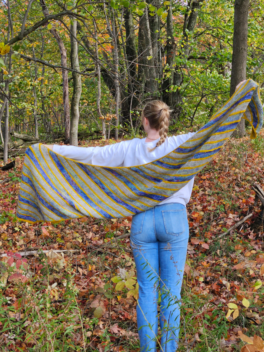 Suvihari Shawl Kit