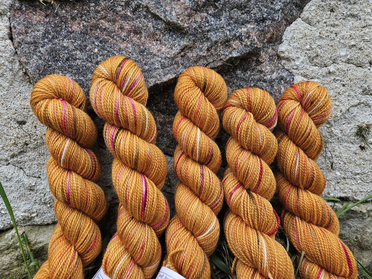 Koigu Collector Originals / skein