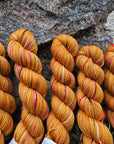 Koigu Collector Originals / skein