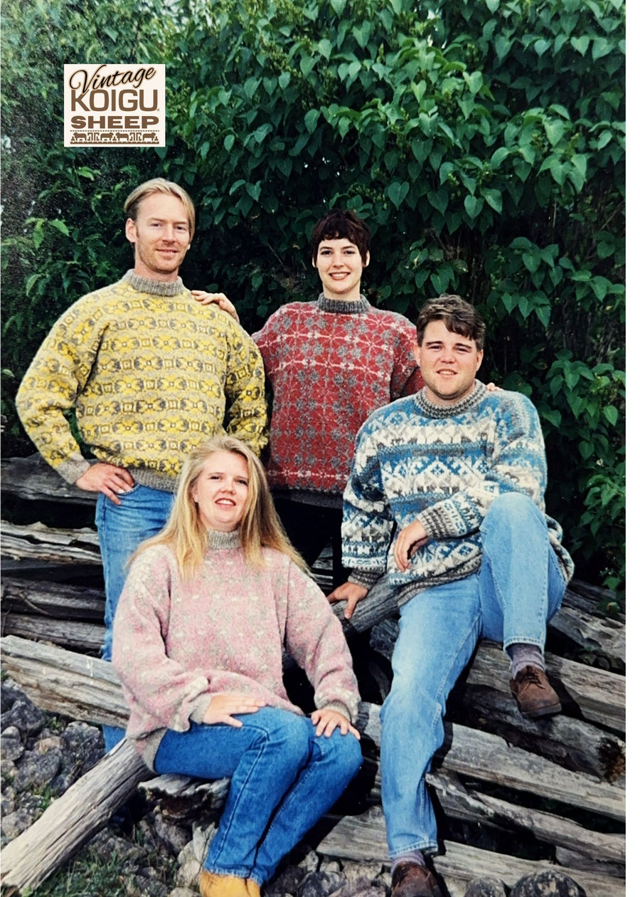 Visions of Spring Sweater Kit