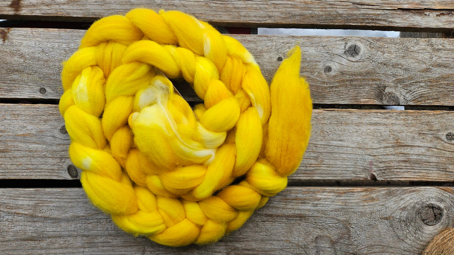 Koigu Merino Braid Roving