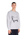 Merino Sheep Sweatshirt