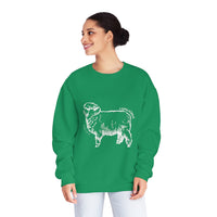 Corriedale Sheep Sweatshirt