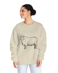 Romney Sheep Sweatshirt