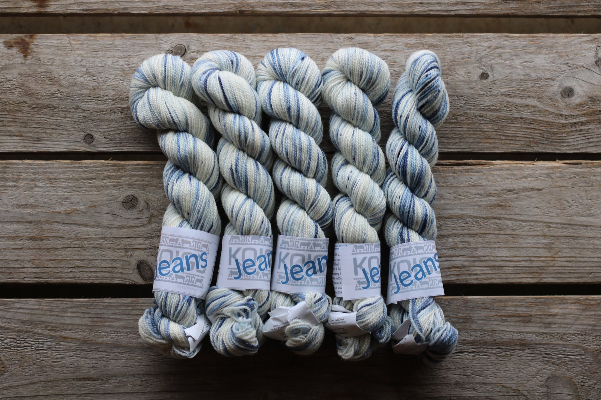Koigu Collector Originals / skein