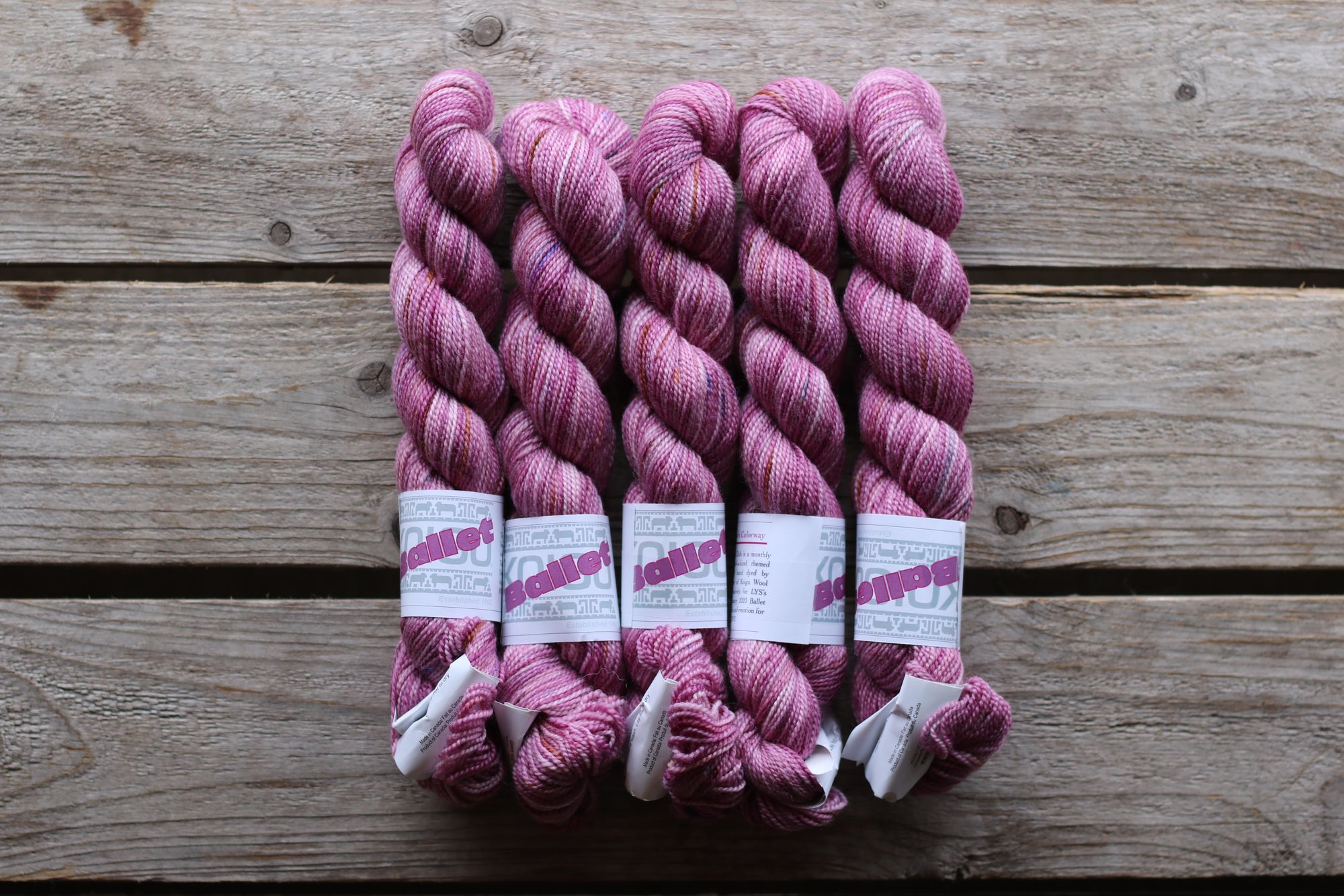 Koigu Collector Originals / skein