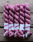 Koigu Collector Originals / skein