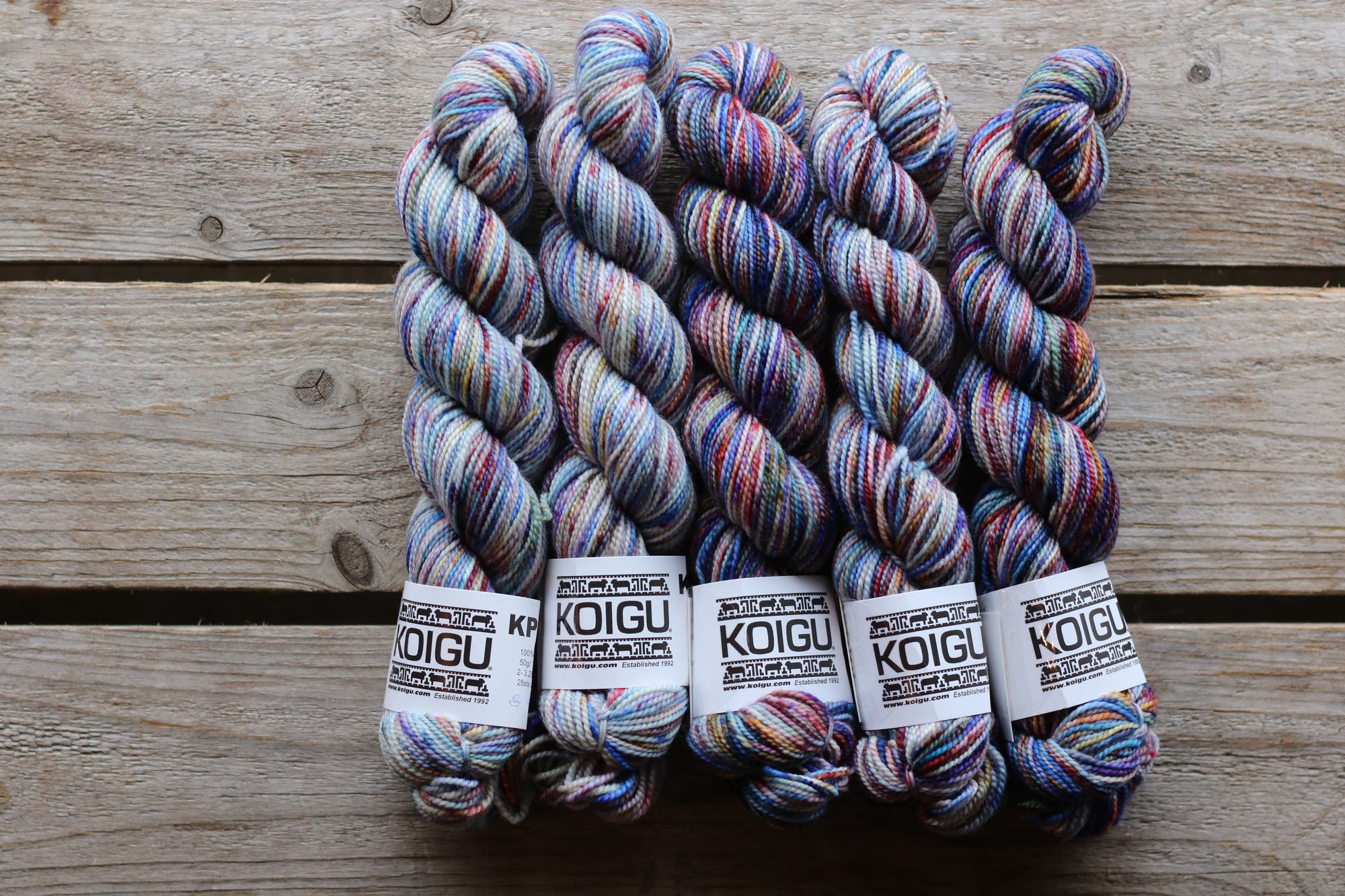 Koigu Collector Originals / skein