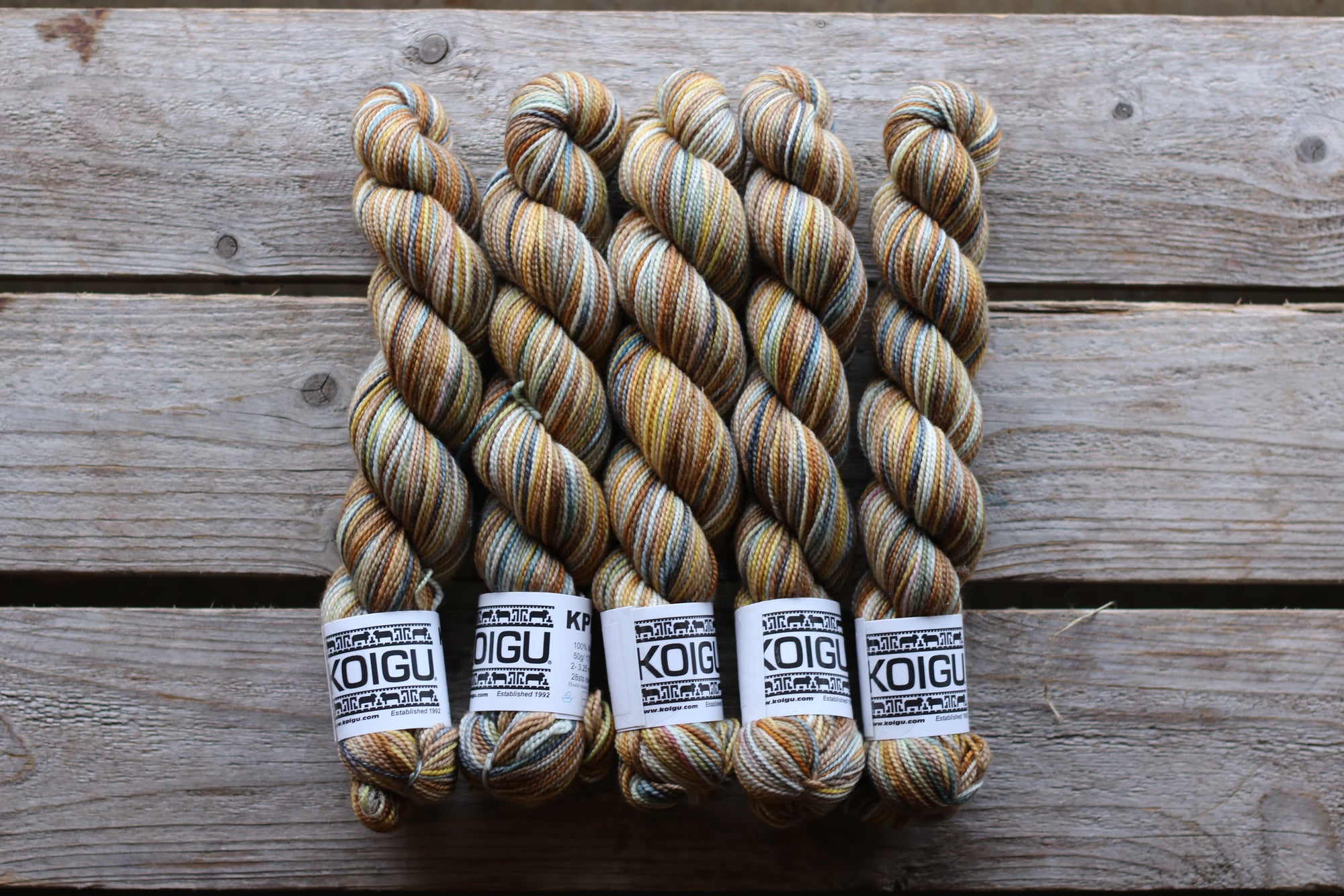 Koigu Collector Originals / skein
