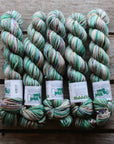 Koigu Collector Originals / skein