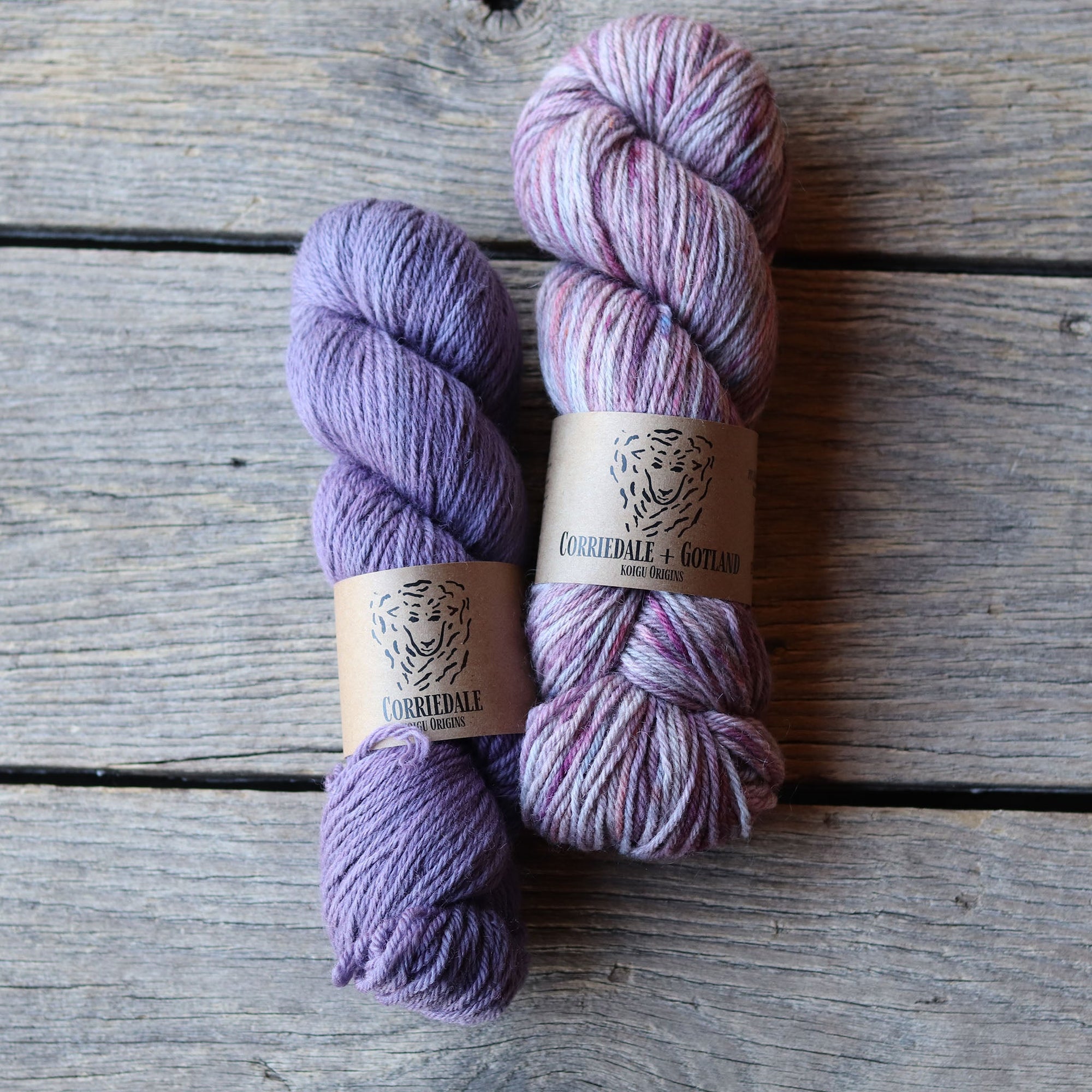 Koigu Sheep Hat Kit Gift Pack