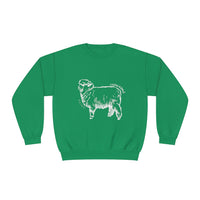 Corriedale Sheep Sweatshirt