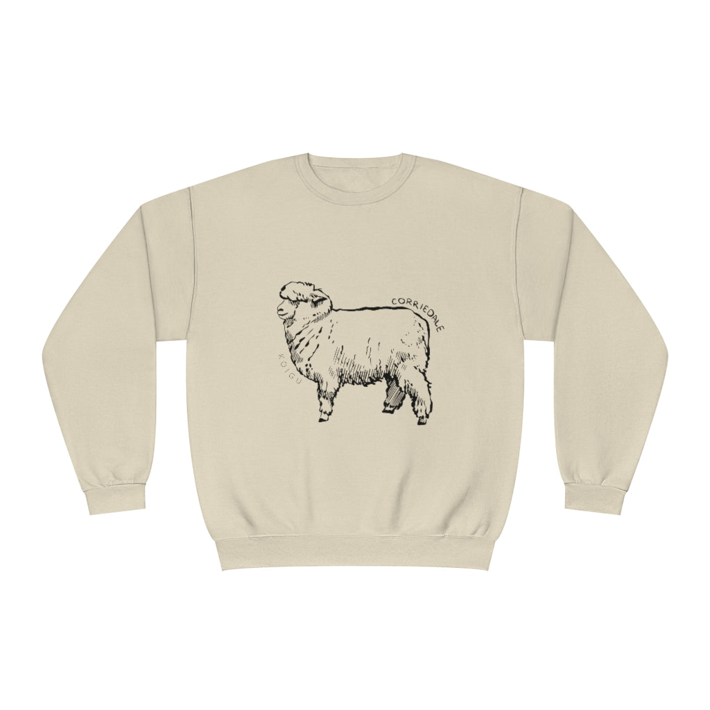 Corriedale Sheep Sweatshirt